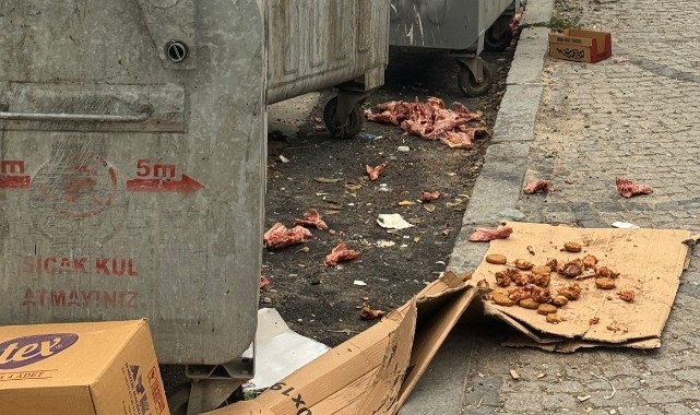 Edirne’nin kalbinde utandıran görüntüler