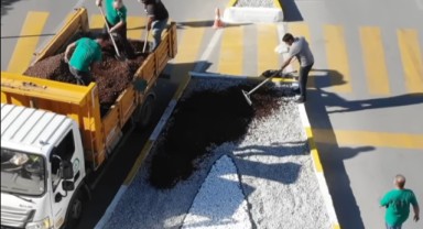 Estetik mi, ekolojik zarar mı? Edirne’de refüj tartışması sürüyor