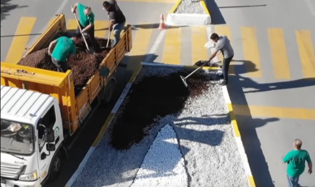 Estetik mi, ekolojik zarar mı? Edirne’de refüj tartışması sürüyor