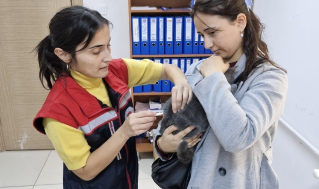 Evcil hayvanlar mikroçip uygulamasıyla kayıt altına alınıyor