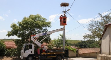 Göç Yolu Güvende: TREDAŞ’tan leyleklere yuva desteği