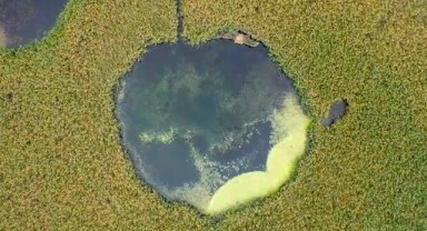 Göl Baba sulak alanı sonbaharda görsel şölene dönüştü