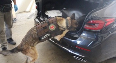 Kapıkule’de kaçakçılara göz açtırılmıyor