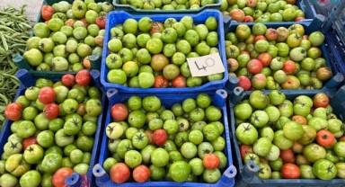 Kış hazırlıkları