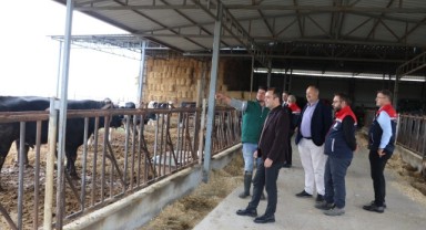 Köse, Lalapaşa'daki hayvancılık işletmesini ziyaret etti