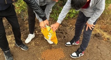 Lise öğrencilerinden sokak canlarına sıcak dokunuş