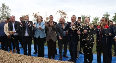 Meriç yer fıstığı Edirne’den Hakkari'ye kadar market raflarında