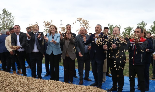Meriç yer fıstığı Edirne’den Hakkari'ye kadar market raflarında