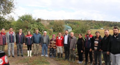 Sera Kurulumu Projesinde incelemeler