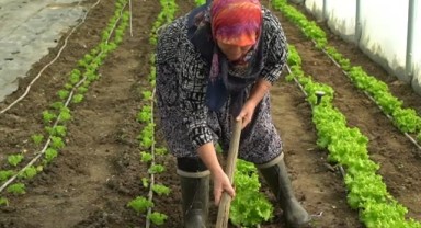 Şirin teyze gençlere örnek oluyor