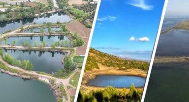 “Sulak alanların, insan yaşamı için büyük öneme sahip”