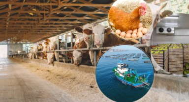 Süt, et, yumurta ve sebze işleme tesislerine Avrupa Birliği destekli fon