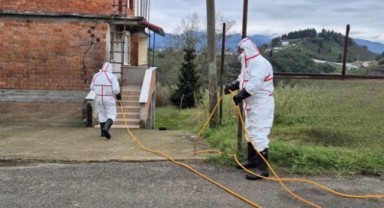 Tarım ve Orman Bakanlığı’ndan zararlıya karşı seferberlik