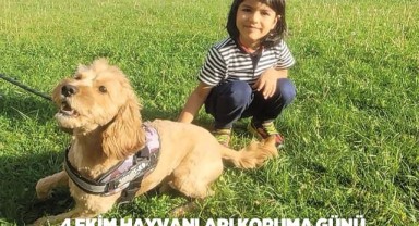 TED’li öğrenciler sokak hayvanları için barınak tasarladı