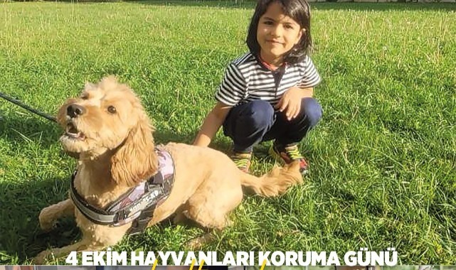 TED’li öğrenciler sokak hayvanları için barınak tasarladı