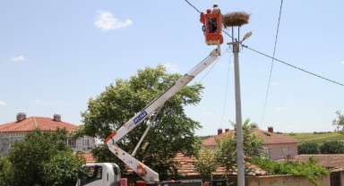 TREDAŞ, hayvan dostu projelerine devam ediyor