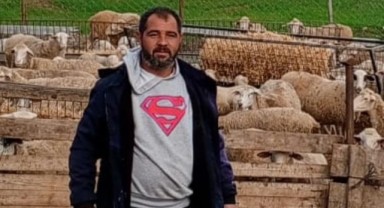 Avcılar çoban köpeklerini vurdu, kurtlar sürüyü bastı