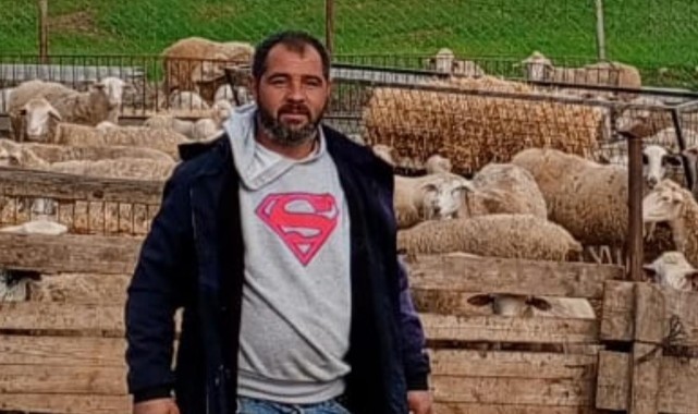 Avcılar çoban köpeklerini vurdu, kurtlar sürüyü bastı