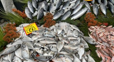 Bu yıl tezgahlarda palamut yerini hamsi ye bıraktı