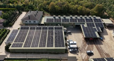 Ceviz üretimine başlayan işletme elektriğini güneşten karşılıyor