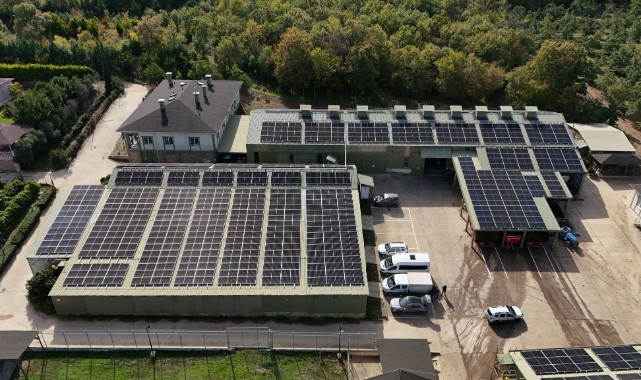 Ceviz üretimine başlayan işletme elektriğini güneşten karşılıyor