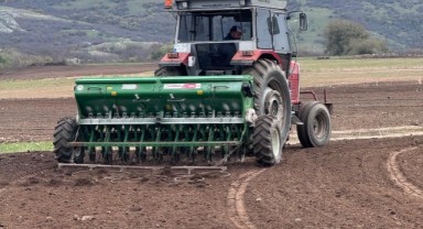Çiftçiler bu yıl yağışlarla birlikte tavlı toprağı tohumlarla buluşturdu