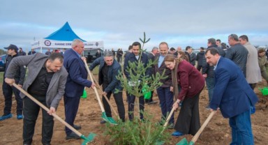 Çömlekköy’de Şehitler için 500 fidan dikildi