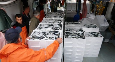 Denize açılan balıkçılar 600 kasa istavritle limana döndü