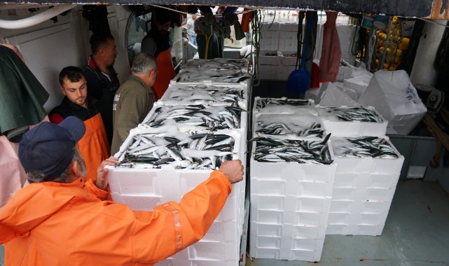 Denize açılan balıkçılar 600 kasa istavritle limana döndü