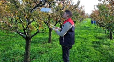 Edirne’de meyve bahçelerinde zararlı yoğunluğu yakından izleniyor