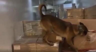 Kapıkule’de zehire geçit yok