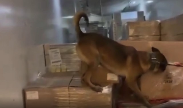 Kapıkule’de zehire geçit yok