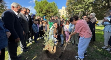 Öğrenciler gazilerle birlikte zeytin ağacı ekti