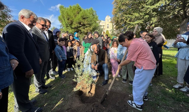 Öğrenciler gazilerle birlikte zeytin ağacı ekti
