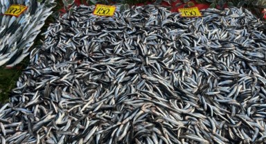 Palamutun yerini hamsi aldı, sıcak hava balık satışlarını vurdu