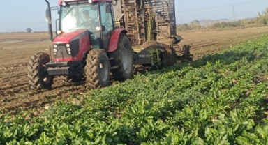 Pancar hasadı devam ediyor