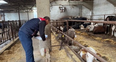 Sürdürülebilir hayvancılık için titiz denetimler