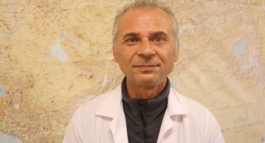 Türkiye'de yeni keşifle çekirge cinsi sayısı 153'e yükseldi