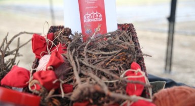 Unutulan Osmanlı rengi artık her alanda kullanılıyor