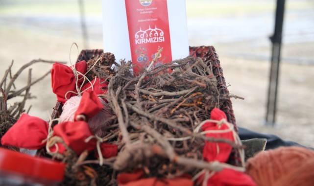 Unutulan Osmanlı rengi artık her alanda kullanılıyor