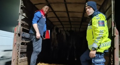 Belgesiz hayvan sevki yapan 2 kişiye 134 bin lira ceza