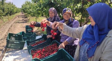 Çeribaşı Kirazı Edirne’nin tescilli tarım ürünü oldu