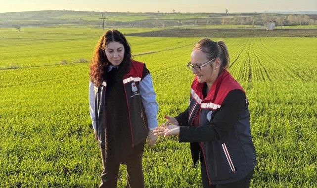 Çiftçilere yönelik eğitimler sürüyor