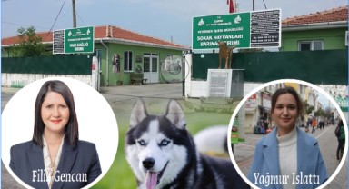 Hayvanseverler isyanda: