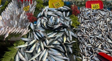 İklim değişikliği balık tezgahlarını olumsuz etkiliyor