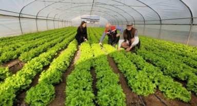 İl Tarım ve Orman Müdürlüğü ekipleri saha çalışmalarını sürdürüyor