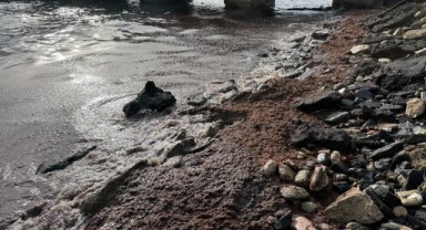 Poyraz nedeniyle sahilin bir kısmında kırmızı yosun birikti