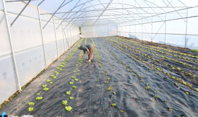 Seracılığı geliştirme projesinde ilk üretim alındı