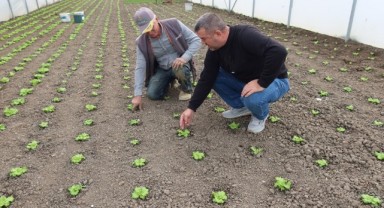 Seracılığı geliştirme projesinde ilk üretim alındı