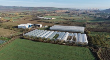 Üreticilere seralarını yenileyebilmeleri için devlet desteği